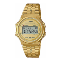 Casio  Vintage rannekello A171WEG-9AEF
