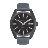 Leijona  Myyr York 5020-2420 rannekello