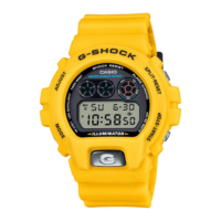 Casio  G-Shock DW-6900TR-9ER rannekello