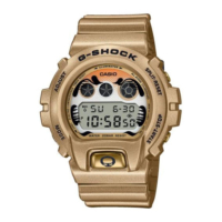 Casio  G-Shock DW-6900GDA-9ER rannekello