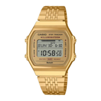 Casio  Vintage ABL-100WEG-9AEF rannekello