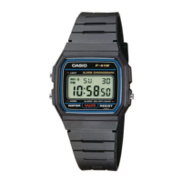 Casio  Collection F-91W-1YEG