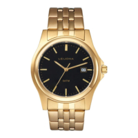 Leijona  Legends 74 5010-741 rannekello