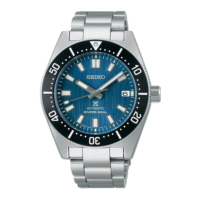 Seiko  Prospex Glacier Save the Ocean Special Edition SPB297J1 rannekello