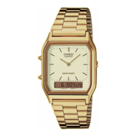 Casio  Vintage Anadigi rannekello AQ-230GA-9DMQYES