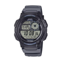 AE-1000W-8AVEF rannekello