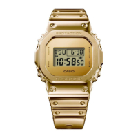 Casio  Fine Metallic GM-5600YMG-9ER rannekello