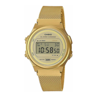 Casio Vintage rannekello A171WEMG-9AEF